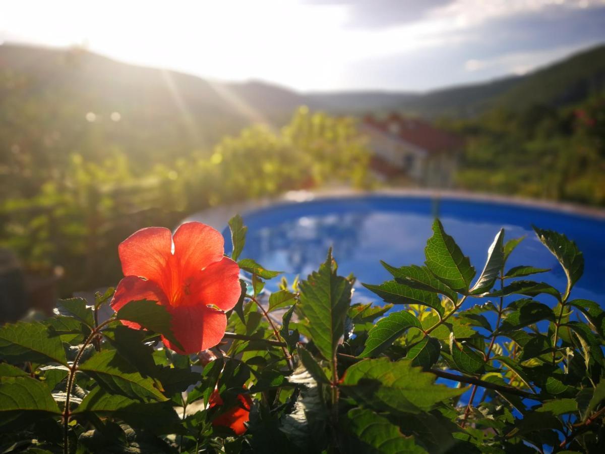 Villa Ceh Gabrovica pri Crnem Kalu Luaran gambar